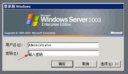 “VPSWINDOWS”时尚风潮：惊喜的另类解读