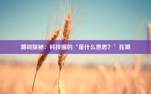 潮词探秘：科技圈的‘是什么意思？’狂潮