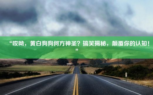 “哎呦，黄白狗狗何方神圣？搞笑揭秘，颠覆你的认知！”